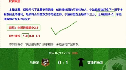 泰格雷对决乌拉圭民族NBA比分查询：完美退场指南